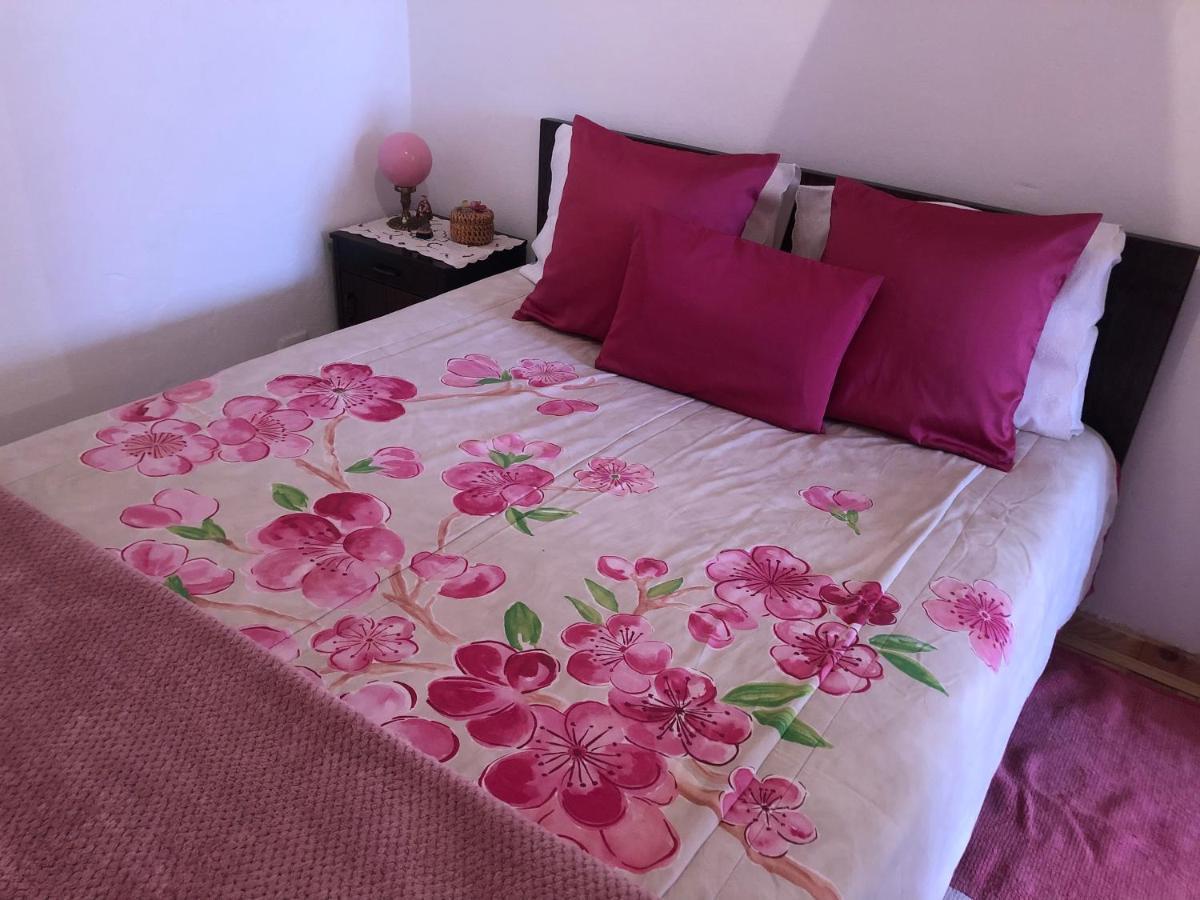 Casal Dos Carpinteiros - Carpenters Couple Villa Silveira  Екстериор снимка